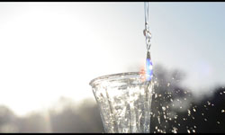 Golden
                    Coast Mead